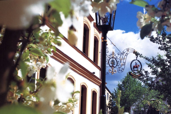 Hotel Schreiegg's Post (Thannhausen)